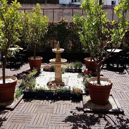 Hotel Ibis *