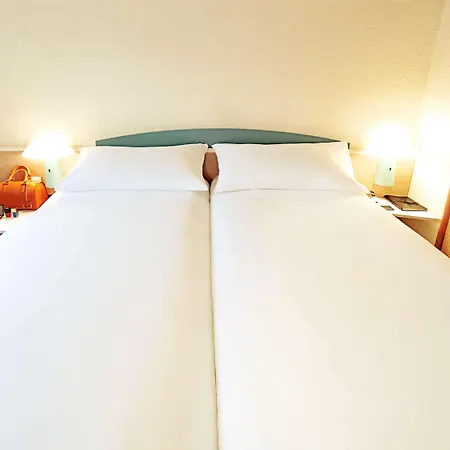 Ibis *