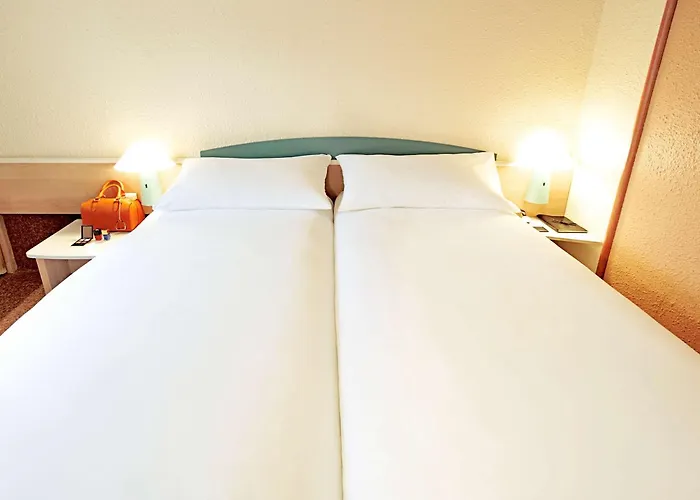 Ibis *