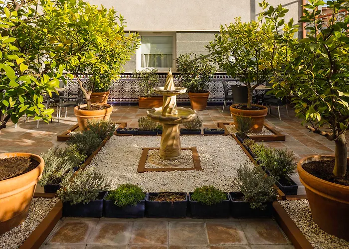 Ibis * Γρανάδα