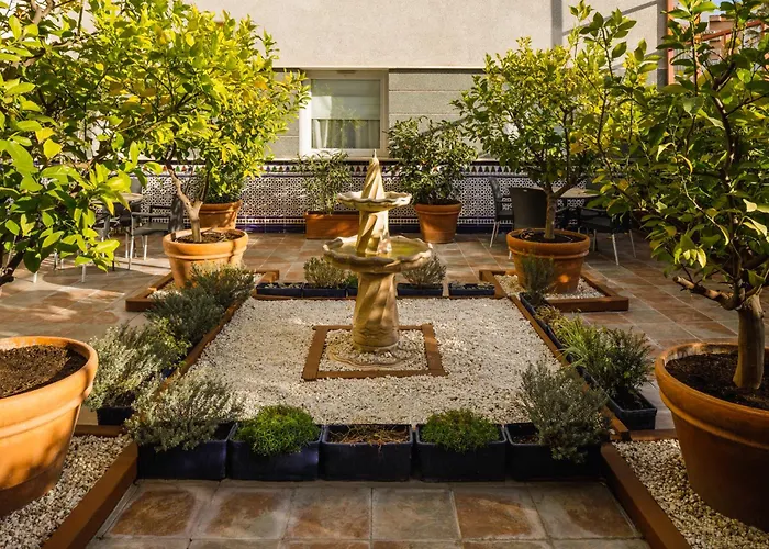 Ibis * Γρανάδα